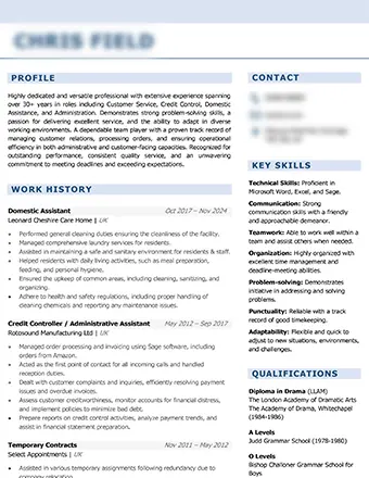 Cv Sample 3